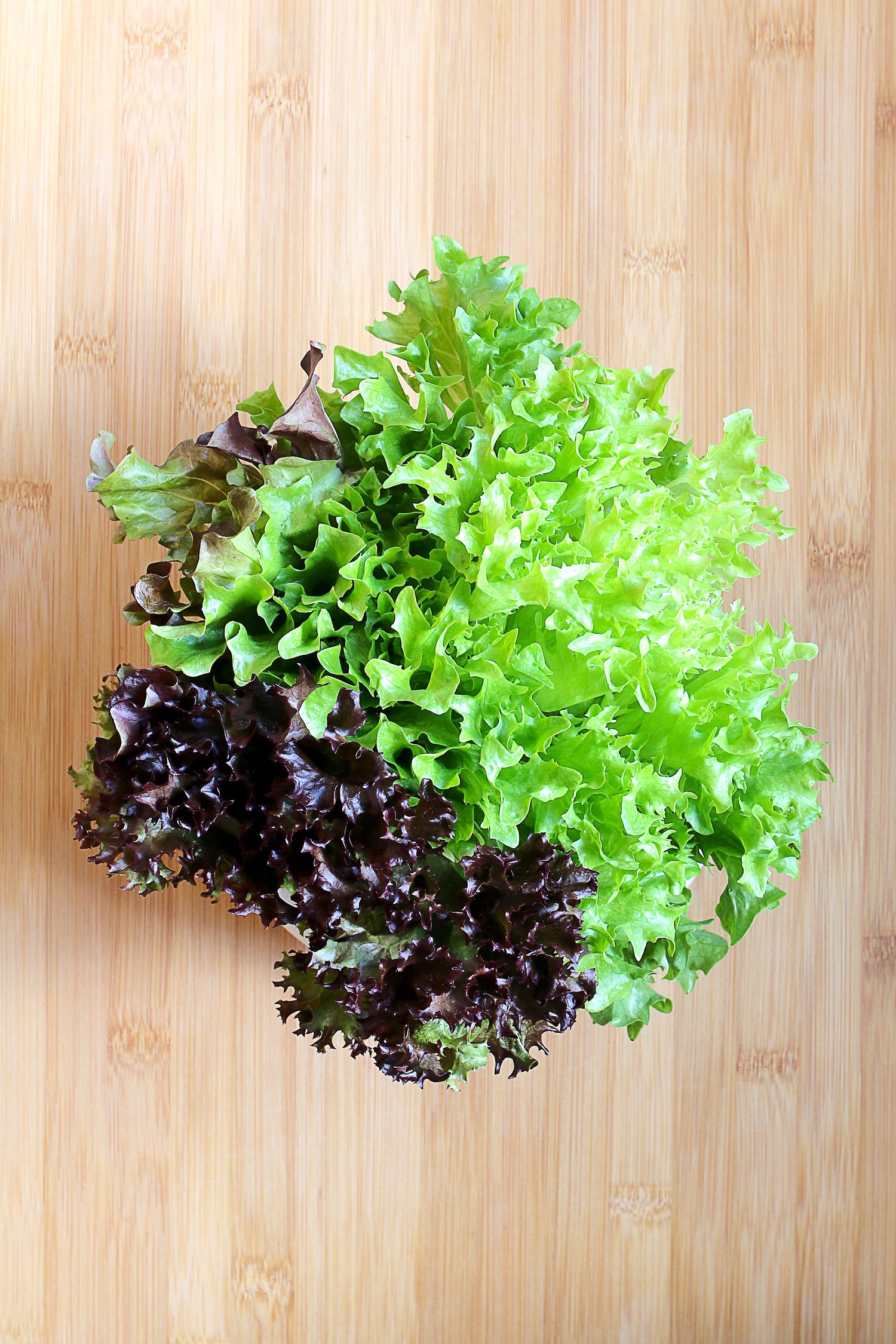 Lettuces & Greens