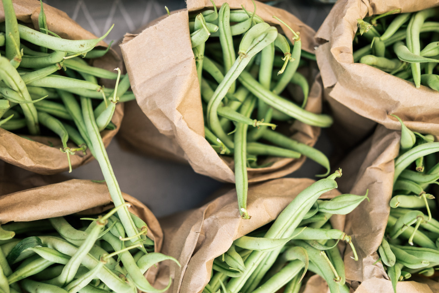 Squash & Bean Seed