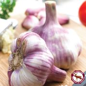 Garlic - Metechi